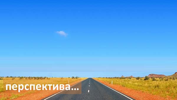 Структура вторичного рынка запчастей 2021 AGORA MIMS Automechanika.  Аналитика на chita.win-sto.ru
